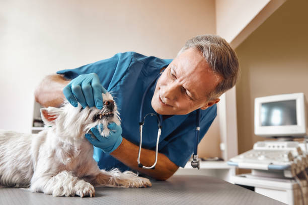 Best Dentist for Tooth Abscess  in Ontario, OH