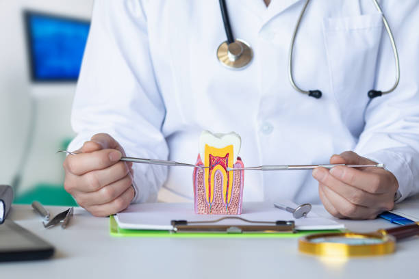 Best Urgent Tooth Repair  in Ontario, OH